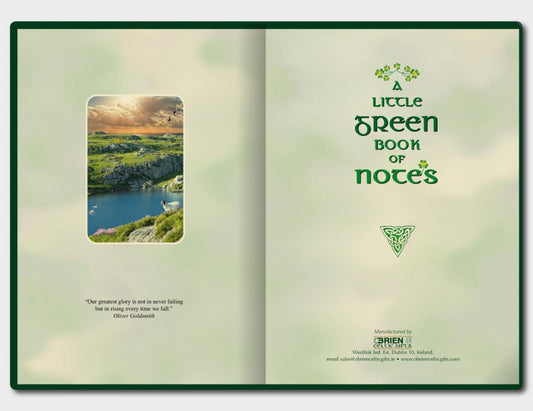 Little Green Book of Notes